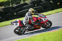 brands-hatch-photographs;brands-no-limits-trackday;cadwell-trackday-photographs;enduro-digital-images;event-digital-images;eventdigitalimages;no-limits-trackdays;peter-wileman-photography;racing-digital-images;trackday-digital-images;trackday-photos